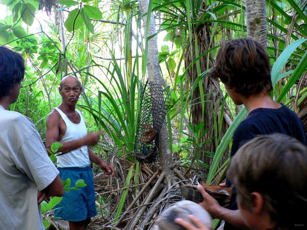 58- Chasse au kaveu 2- Theorie et cours magistral 